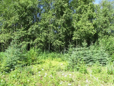 south boundary