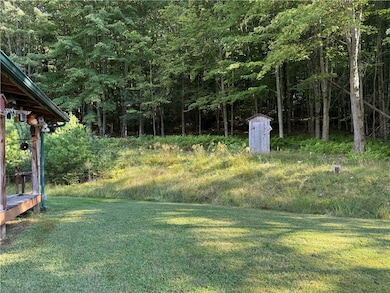 7755 Willow Brook Rd, Little Genesee, NY 14754 - photo 7