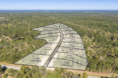 135 Beagle Chase Dr, Appling, GA 30802 - photo 2