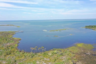 Lot 7 Cora Mae Rd, Carrabelle, FL 32322 - photo 6