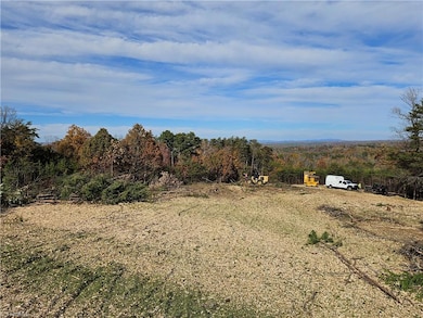 00 Whitaker Chapel Rd unit 10, Pilot Mountain, NC 27041 - photo 5