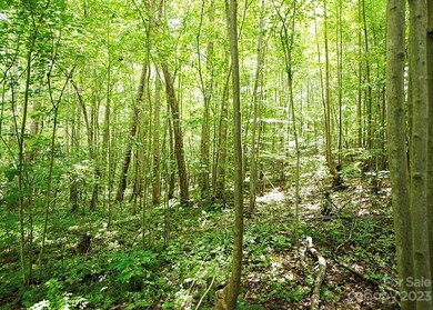 Lot #9 Seven Springs Way, Denver, NC 28037 - photo 2