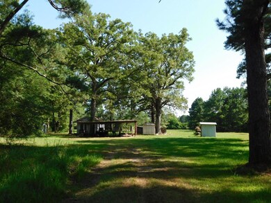 View of yard featuring a shed