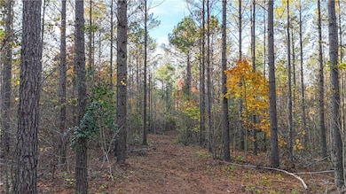 0 County Road 95 unit 177919, Lafayette, AL 36862 - photo 3