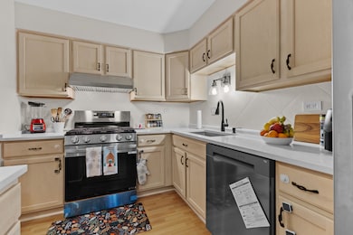 7353 Blackburn Ave unit K206, Downers Grove, IL 60516 - photo 7