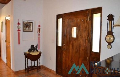 39 Mount Olympus Rd, Silver City, NM 88061 - photo 5