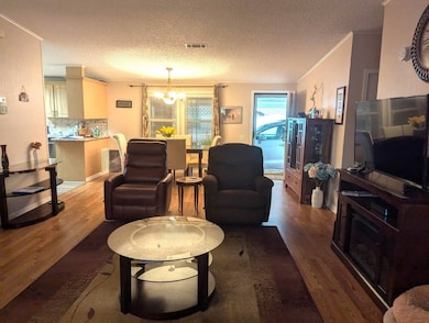 Living room and dining area