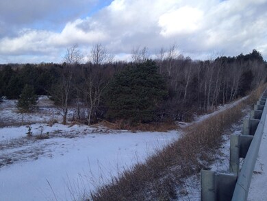 0 Elkland Dr unit 294275, Vanderbilt, MI 49795 - photo 4