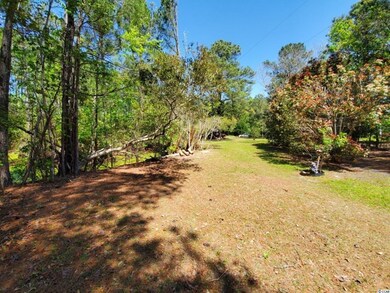 2830 Highway 545, Conway, SC 29526 - photo 3