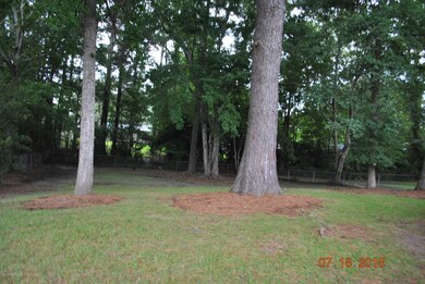 313 Cardinal Rd, Jacksonville, NC 28546 - photo 3