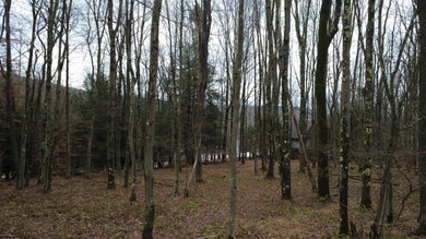 175 Laurel Cir, Terra Alta, WV 26764 - photo 6