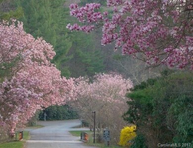 Sherwood Forest Entrance in Spring