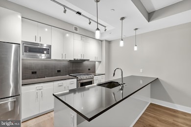 Peninsula 88 unit 509, Washington, DC 20024 - photo 5