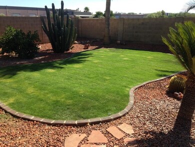 21stAvebackyardgrass