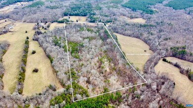 1979 Chalklevel Rd, Louisa, VA 23093 - photo 5