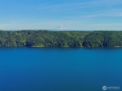 145 N Shar Ln, Lilliwaup, WA 98555 - photo 3