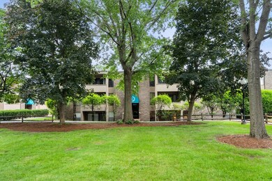 54 Shrewsbury Green Dr unit D, Shrewsbury, MA 01545 - photo 5