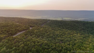 7 Moonshine Dr, Clayton, OK 74536 - photo 5