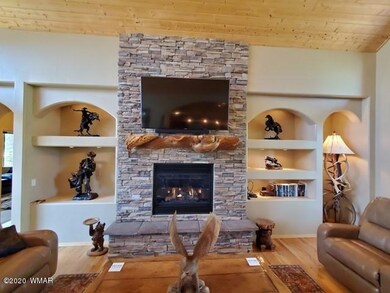 007_Gas Fireplace w Warmer