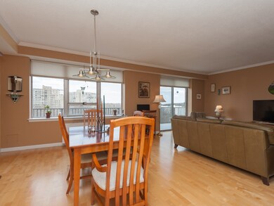 Imperial Towers unit 3, Chestnut Hill, MA 02467 - photo 6