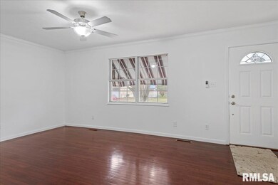 25 Elm Tree Ct, Taylorville, IL 62568 - photo 7