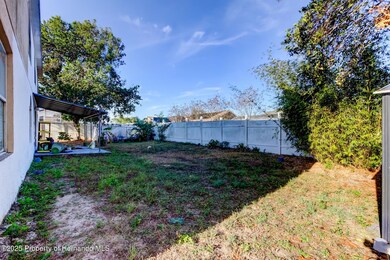 backyard a_2