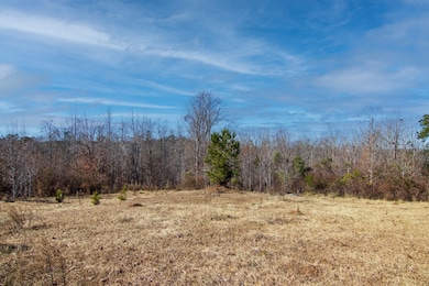 0 Chestnut Grove Rd unit 225066, Shiloh, GA 31826 - photo 5