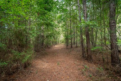 MCCORMICK LAND - SERPENTINE ©-2989