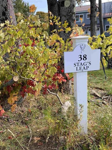 38 Stags Leap Ln unit 38, Wilmington, VT 05363 - photo 5