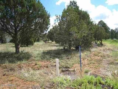 pinedale land4