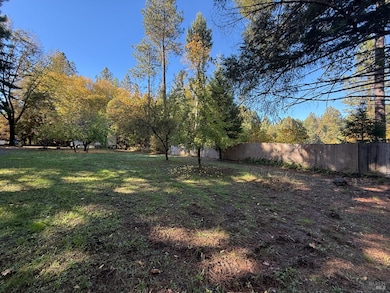 770 Branscomb Rd, Laytonville, CA 95454 - photo 6