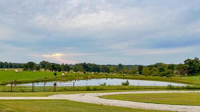 Pond