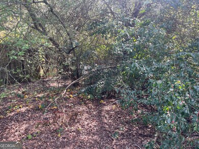 207 Morris St, Palmetto, GA 30268 - photo 4