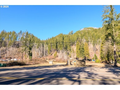 49669 Mckenzie Hwy, Vida, OR 97488 - photo 3