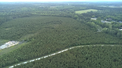 0 Moton Moore Rd unit 542111, McCormick, SC 29835 - photo 5