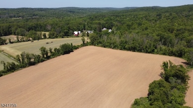 4 Sturbridge Ct, Lebanon Twp., NJ 08826 - photo 2