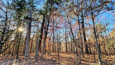 14 Big Bear Rd, Flint Creek, OK 74347 - photo 3