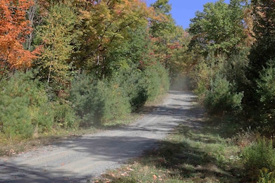 ROW Daniels Farm Rd, Waterford, VT 05819 - photo 4