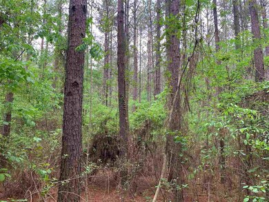 0 Palm Hill Rd unit 1340275, Brandon, MS 39042 - photo 5