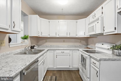 165 G1 Hailey Ln, Strasburg, VA 22657 - photo 5