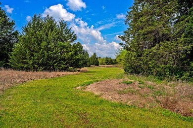 3428 Hwy 120 West Hwy W, Pottsboro, TX 75076 - photo 6