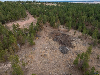 TBD Gravel Pit Loop unit Off of Hwy 89 South, Hot Springs, SD 57747 - photo 3