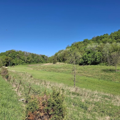 40 Acre unit Walnut Lane, Richland Center, WI 53581 - photo 6