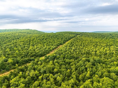 Bk 1600 Rd, Enterprise, OK 74462 - photo 6