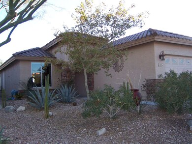 Easy Maintenance Landscaping