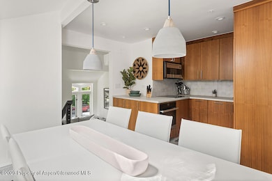 900 E Durant Ave unit E116, Aspen, CO 81611 - photo 6