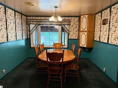 7407 Kermit Ln, South Branch, MI 48761 - photo 7