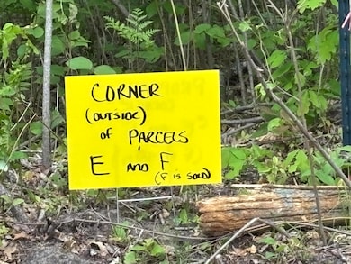 Parcel #E Town Line Rd, Lewiston, MI 49756 - photo 5