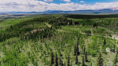 1047 Lumberjack Rd unit 172, Fairplay, CO 80440 - photo 6