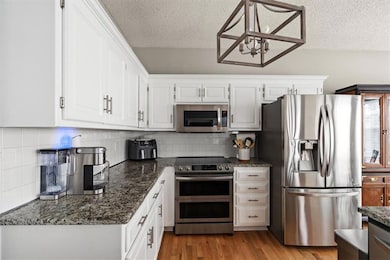 16542 W 154th St, Olathe, KS 66062 - photo 6